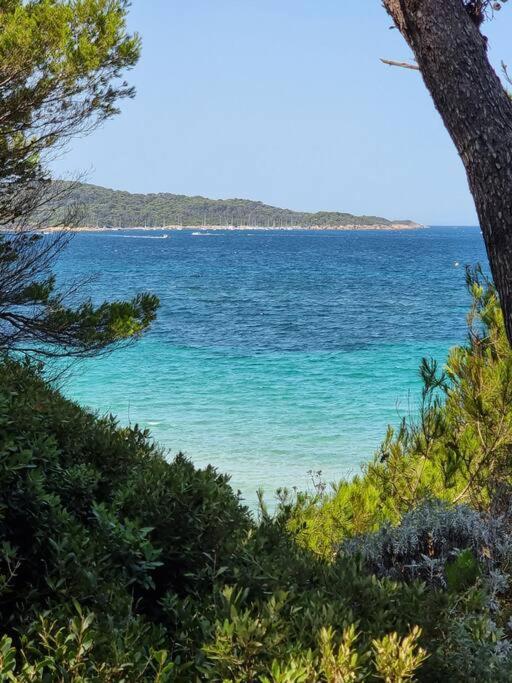 - La Porquerollaise Casa vacanze