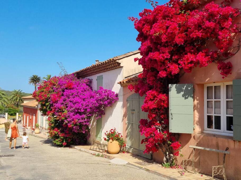 - La Porquerollaise Casa vacanze *