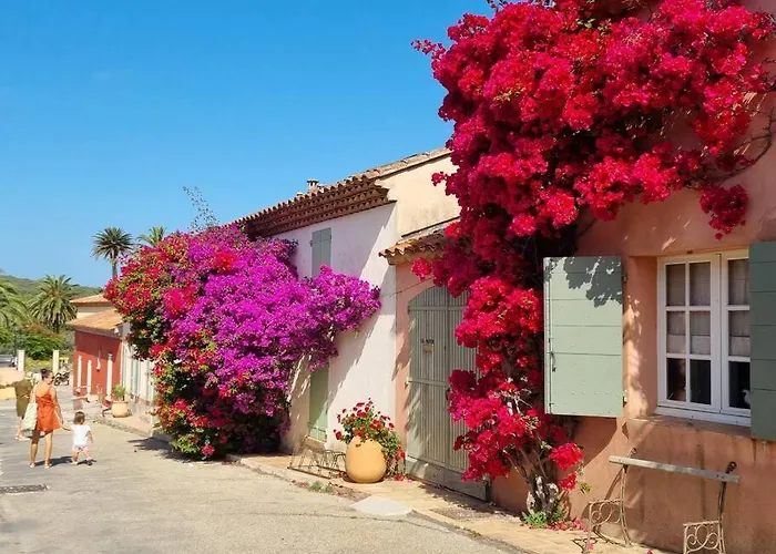 Porquerolles - La Porquerollaise