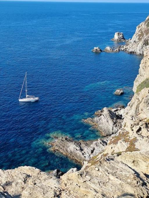 - La Porquerollaise