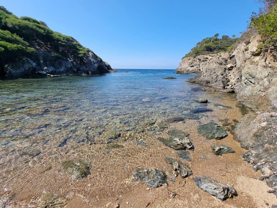 - La Porquerollaise *